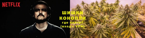индика Володарск