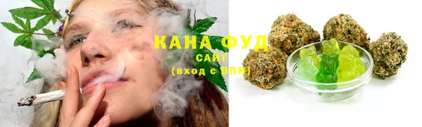 индика Володарск