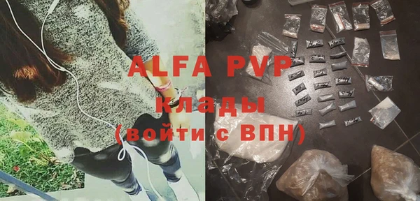 индика Володарск