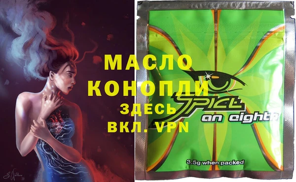 индика Володарск
