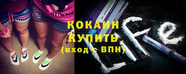 индика Володарск