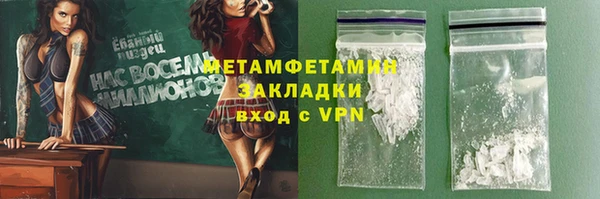 индика Володарск