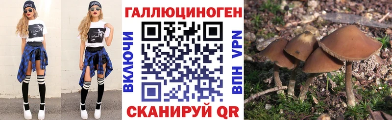 мега   Канск  Галлюциногенные грибы прущие грибы  что такое  